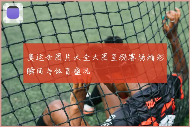 奥运会图片大全大图呈现赛场精彩瞬间与体育盛况